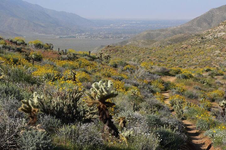 Marquis Villas Resort - One Bedroom