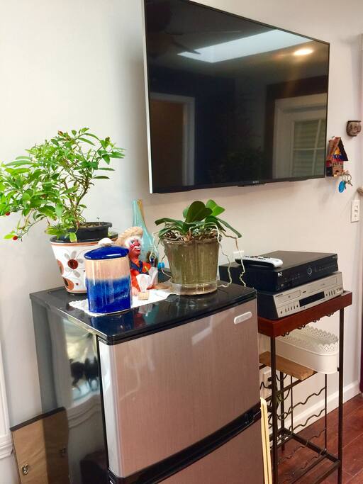 Fridge, TV, cable and DVD player