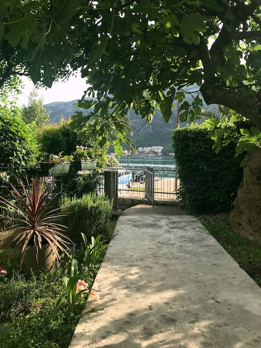 Garden, entrance