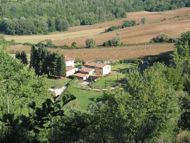listing_image