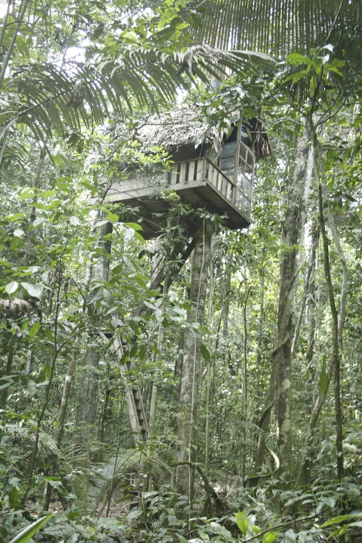 CABAÑA EN EL ARBOL RESERVA NATURAL TANIMBOCA Leticia, Colombia