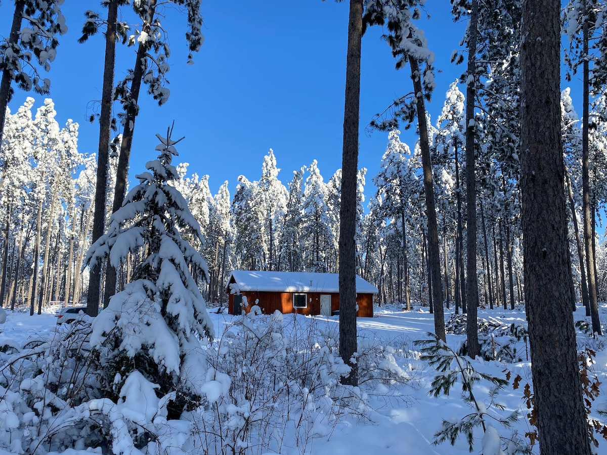 A cabin is nestled among tall pine trees blanketed in fresh snow, creating a serene winter landscape. The roof of the cabin is visible, and sunlight softly illuminates the scene, highlighting the snow-covered branches and ground.