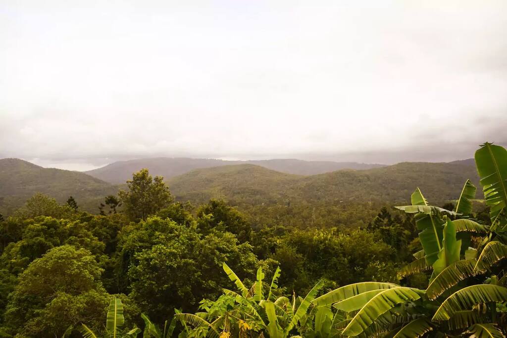 The Hills to the Coast