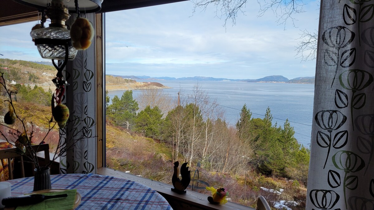 A dining area is visible through large windows, offering a view of trees and Trondheimsfjorden. A round table is set with a checked tablecloth, and decorative items, including small figures, are placed on its surface. Natural light enhances the serene atmosphere.