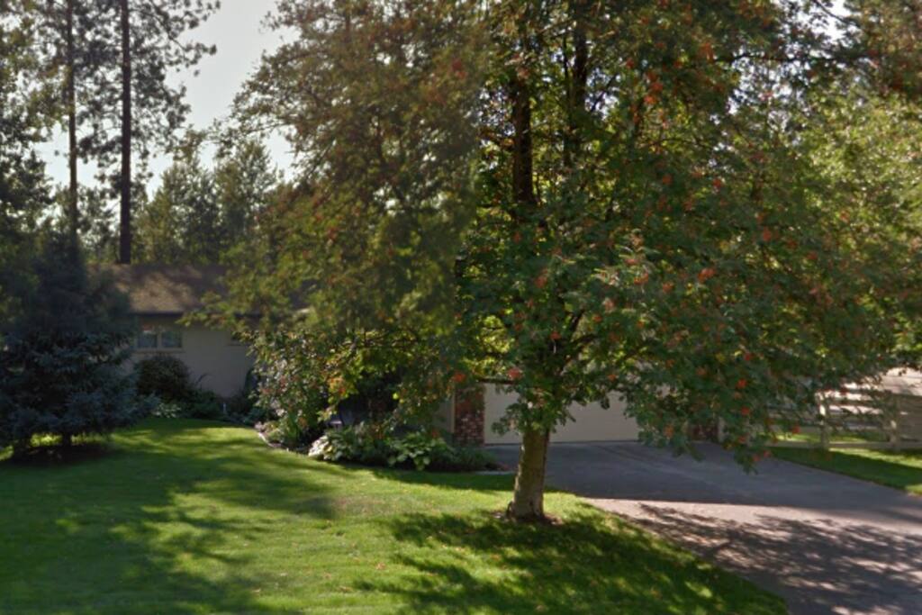 Google earth view