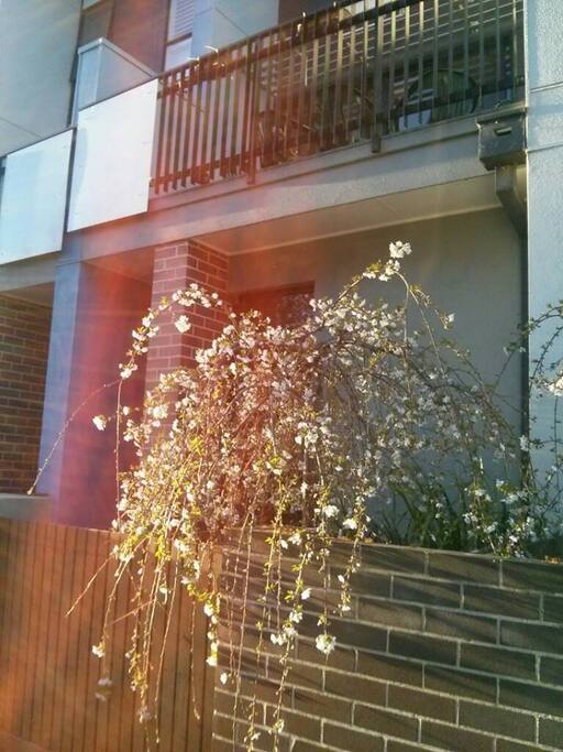 This is the front of the house.