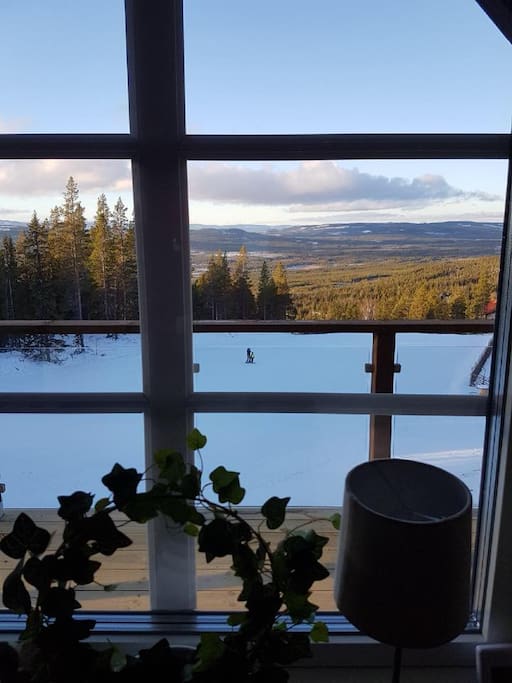 Utsikt från lägenheten.