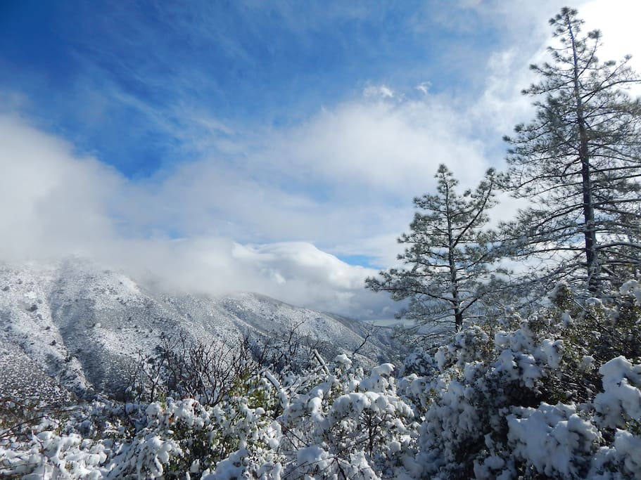 Looking North: See towering Peaks & Forest view, Picture taken looking SouthEast