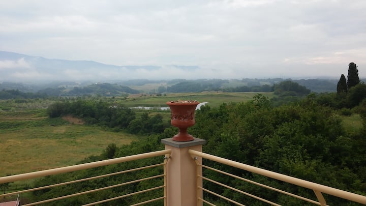 The Cypress - Terranuova Bracciolini