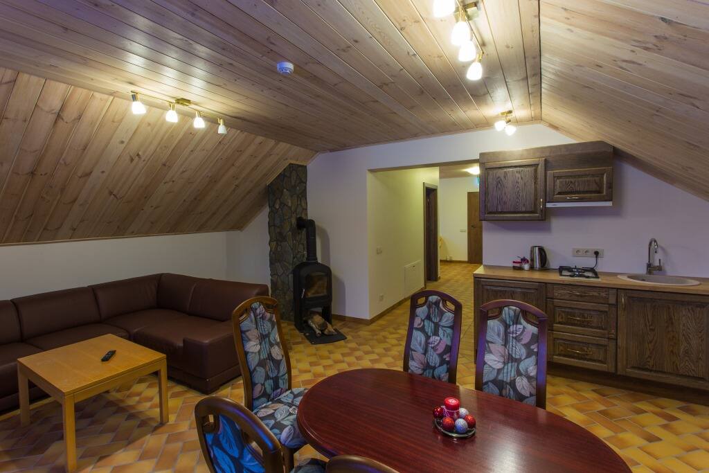Shared space with kitchen and sofa bed