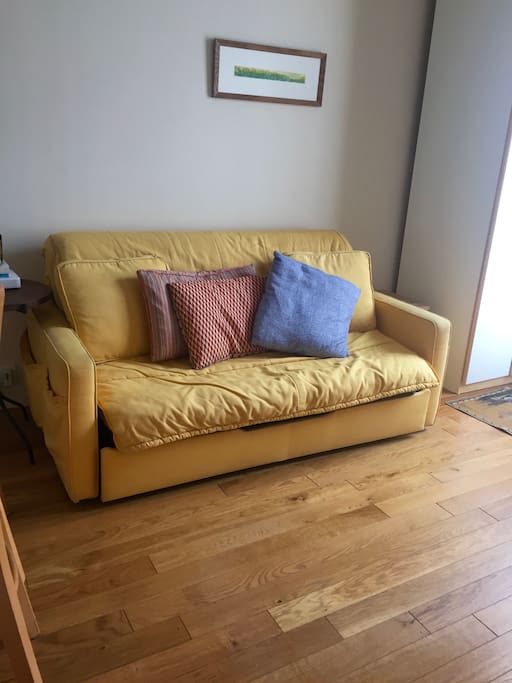 pull out sofa. very comfortable