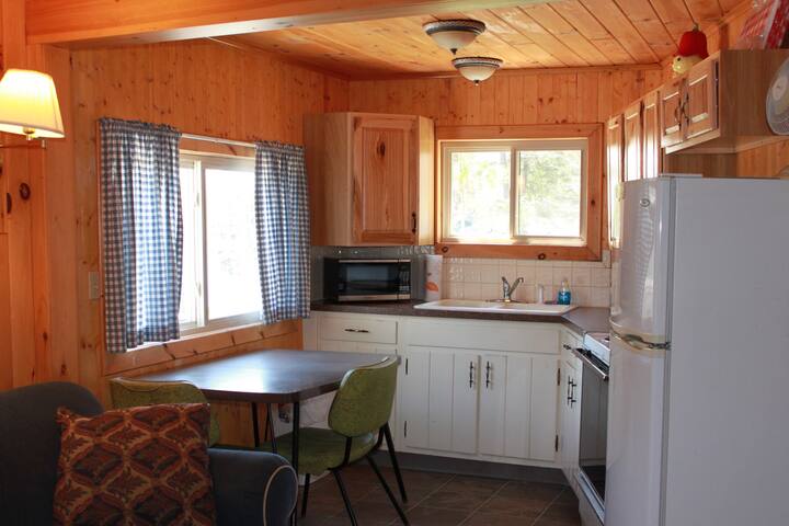 Birches Cottage 4th Lake Old Forge Ny Cottages For Rent In Old