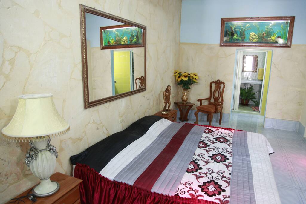 Habitación 6