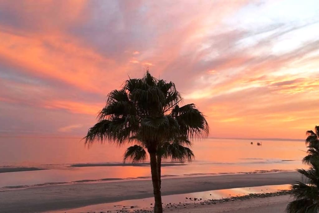 Beach View of Sea of Cortez