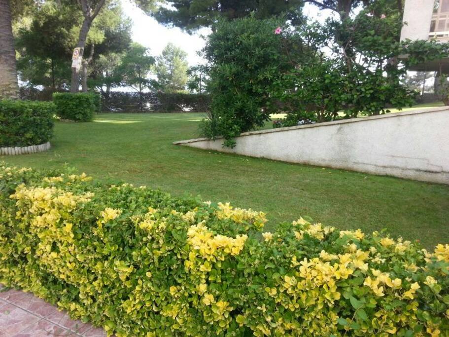 Una parte del jardín de la piscina.