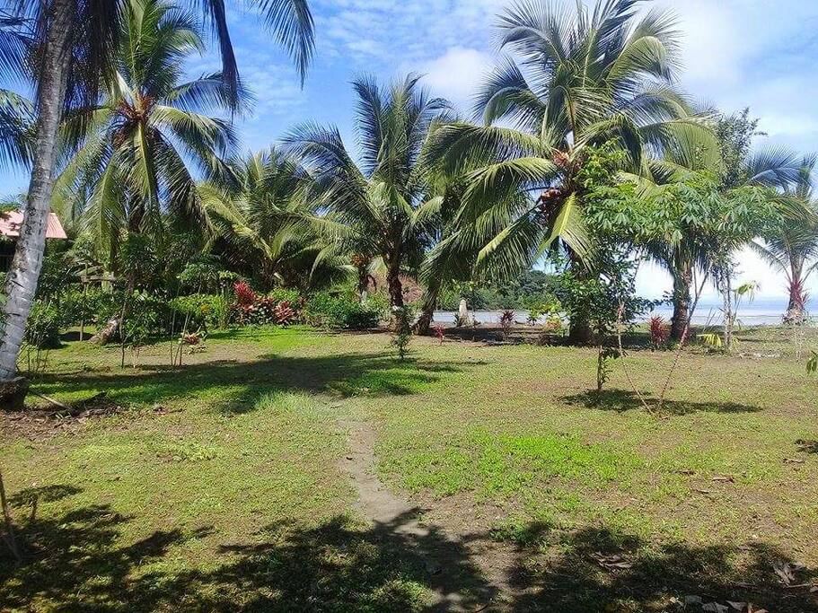 Playa