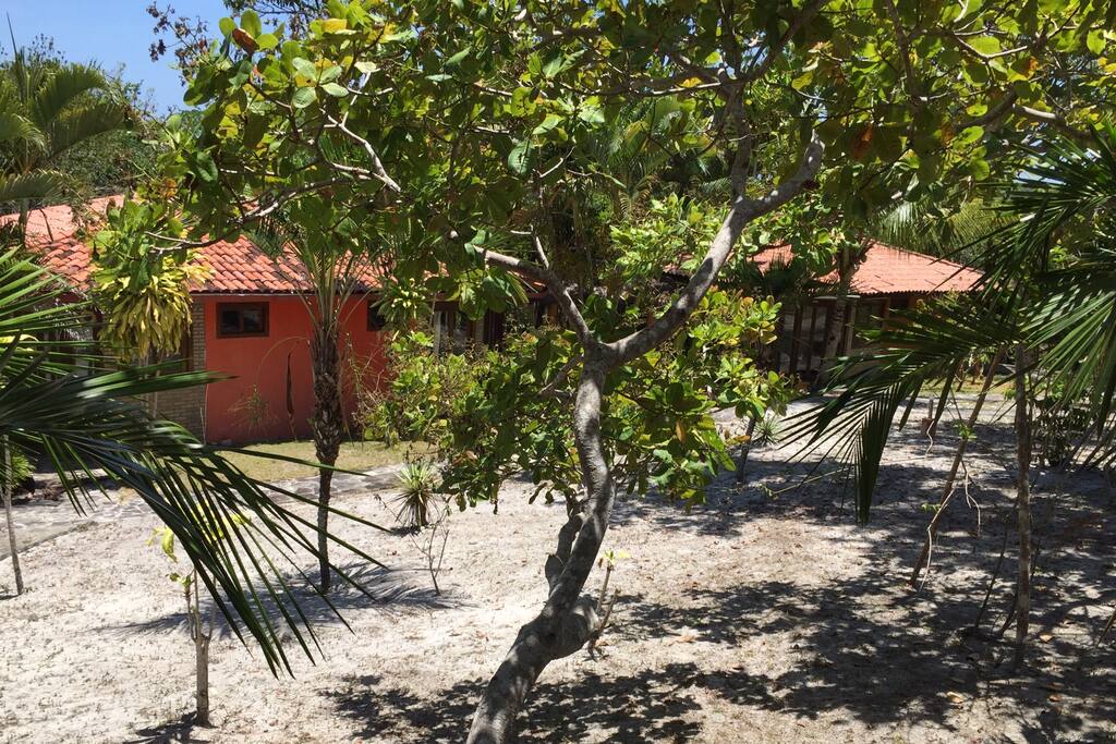 Bungalows dans le jardin.