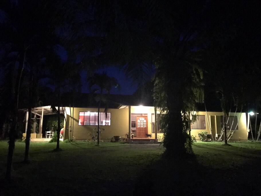 Night lights