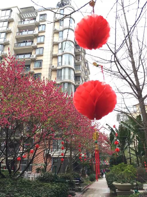 小区春天景色