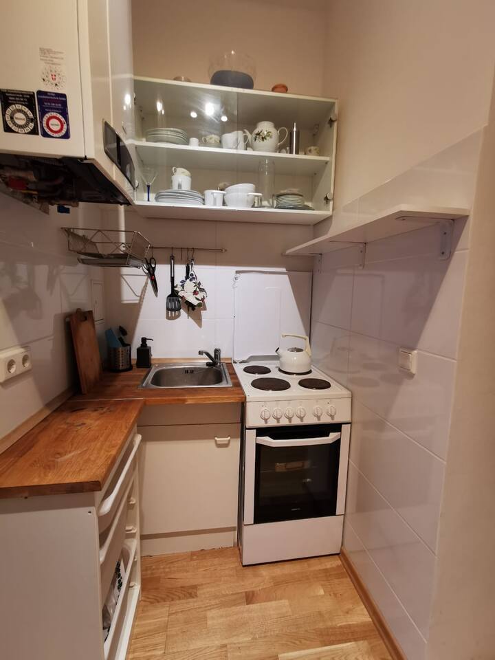 Altbauwohnung In Wien Apartments For Rent In Vienna Wien Austria