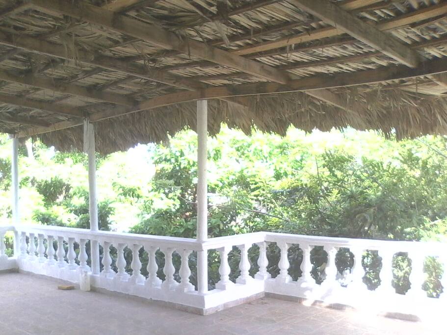 Terraza de atras