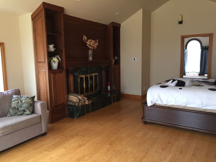 Master bedroom fireplace