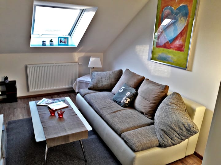 Münster Vacation Rentals & Homes North RhineWestphalia, Germany Airbnb