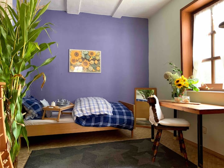 Kamer/begane grond vanaf de keuken-woonkamer