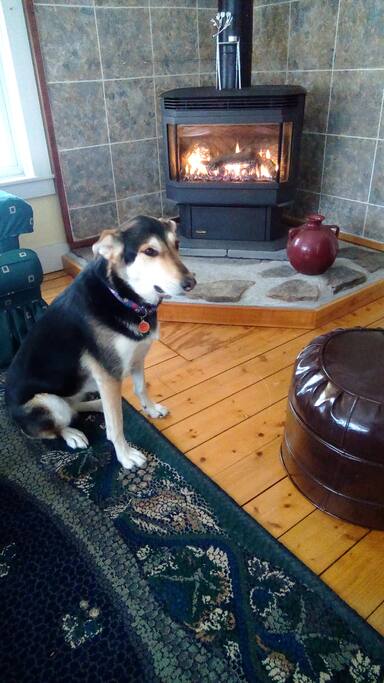 Sit by the fire
Play with Lolly