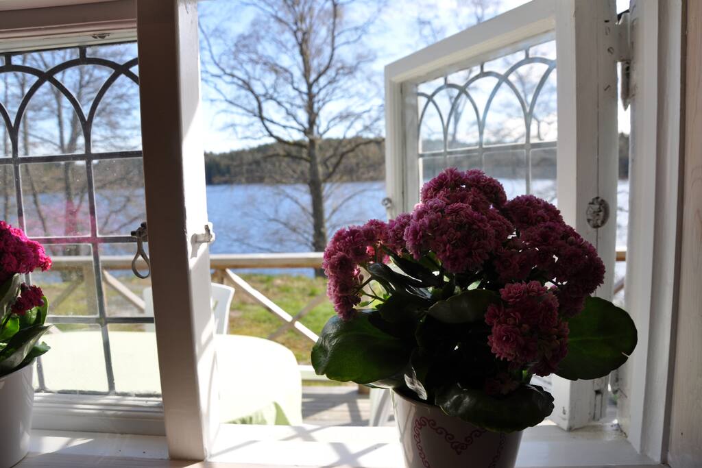 sjöutsikt