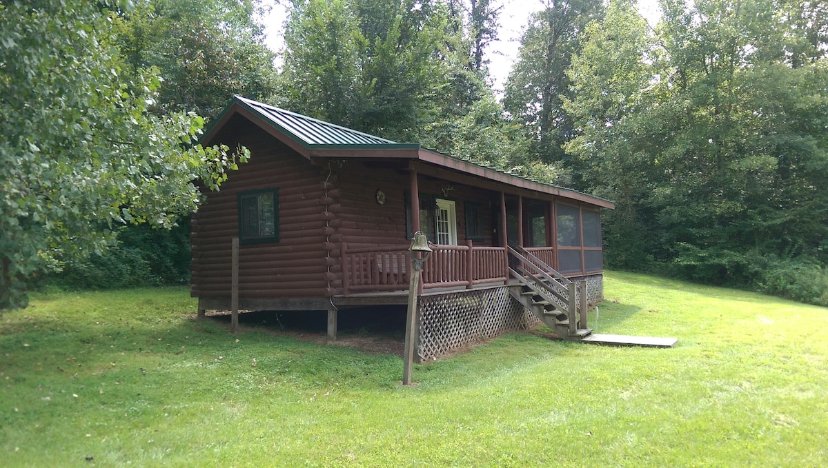 The cabin's exterior features rustic log construction with a green metal roof. A screened-in porch extends along the front, providing views of the surrounding greenery. Steps lead up to the entrance, while the cabin is situated on a landscaped lawn bordered by trees.