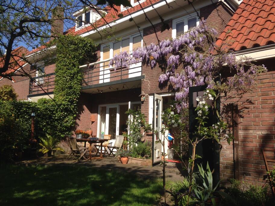 Enclosed garden at the back