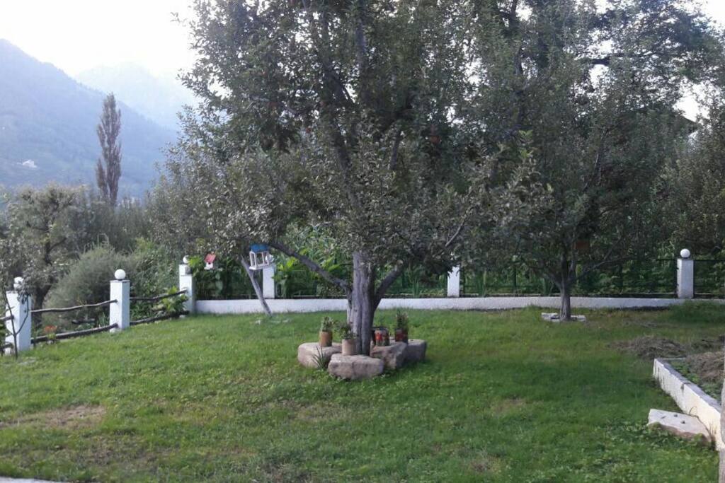 Garden area