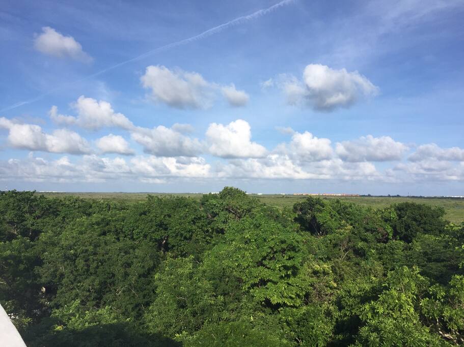 This is the view from the roof of the house