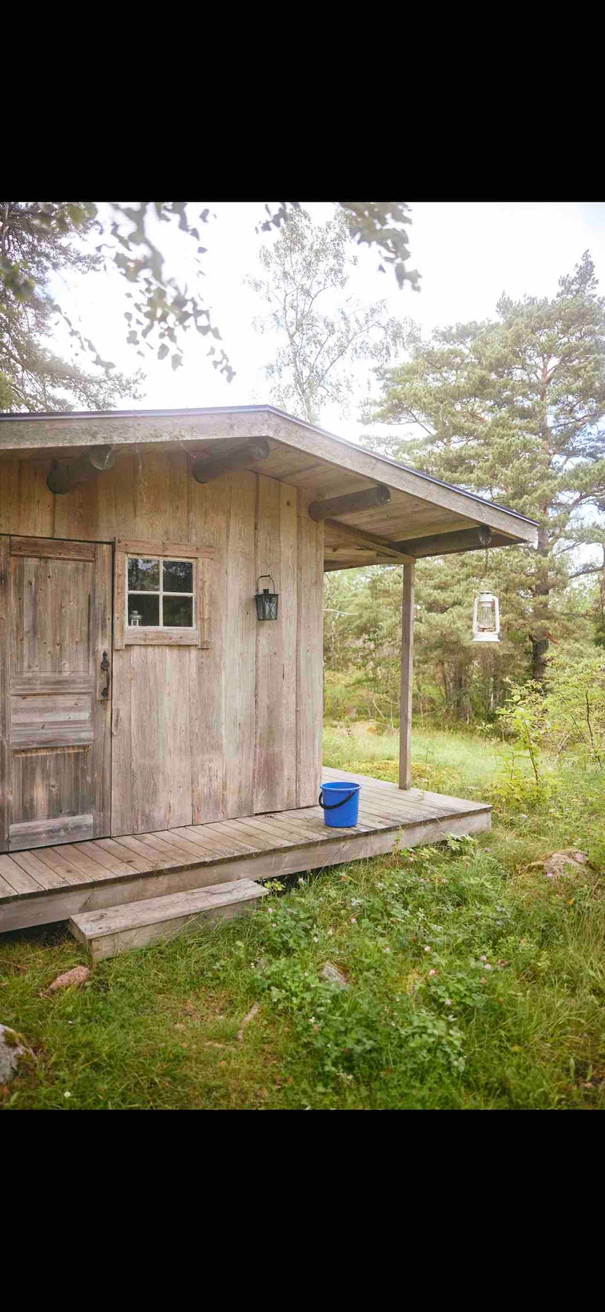 A rustic cabin constructed from weathered wood is featured, set within a natural landscape. A small porch extends from the entrance, which is framed by a simple wooden door and a small window. Surrounding greenery adds to the serene atmosphere.