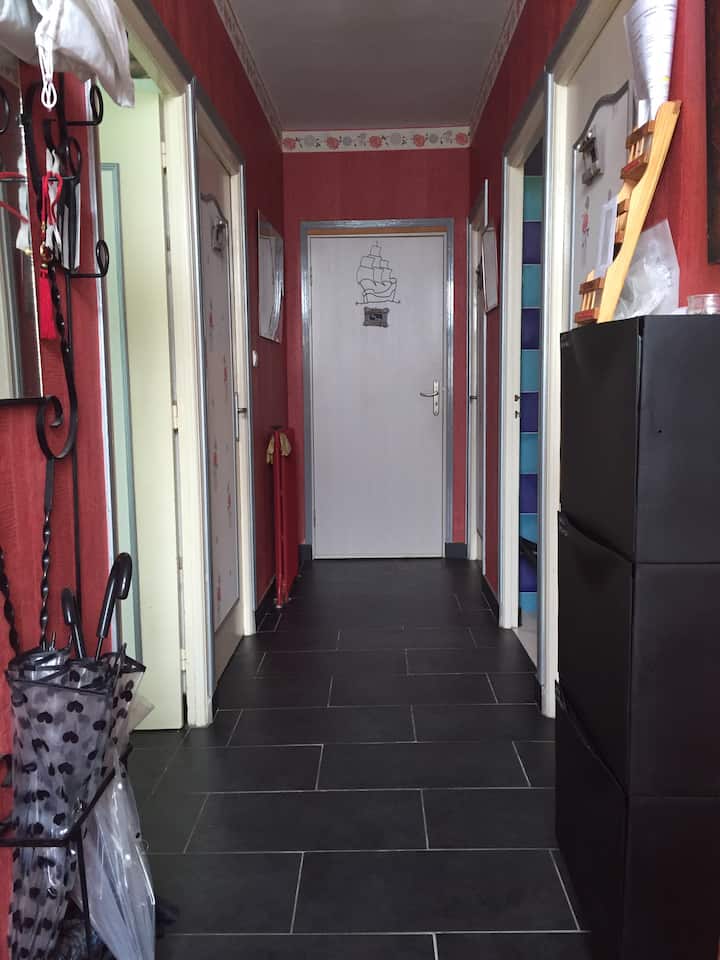 Orchidées Et Galets Dans 1 Pavillon Proximité Facs - Brest