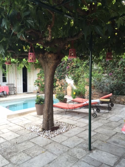 Piscine - Espace commun avec la maison