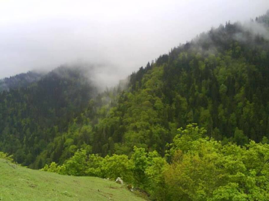 View