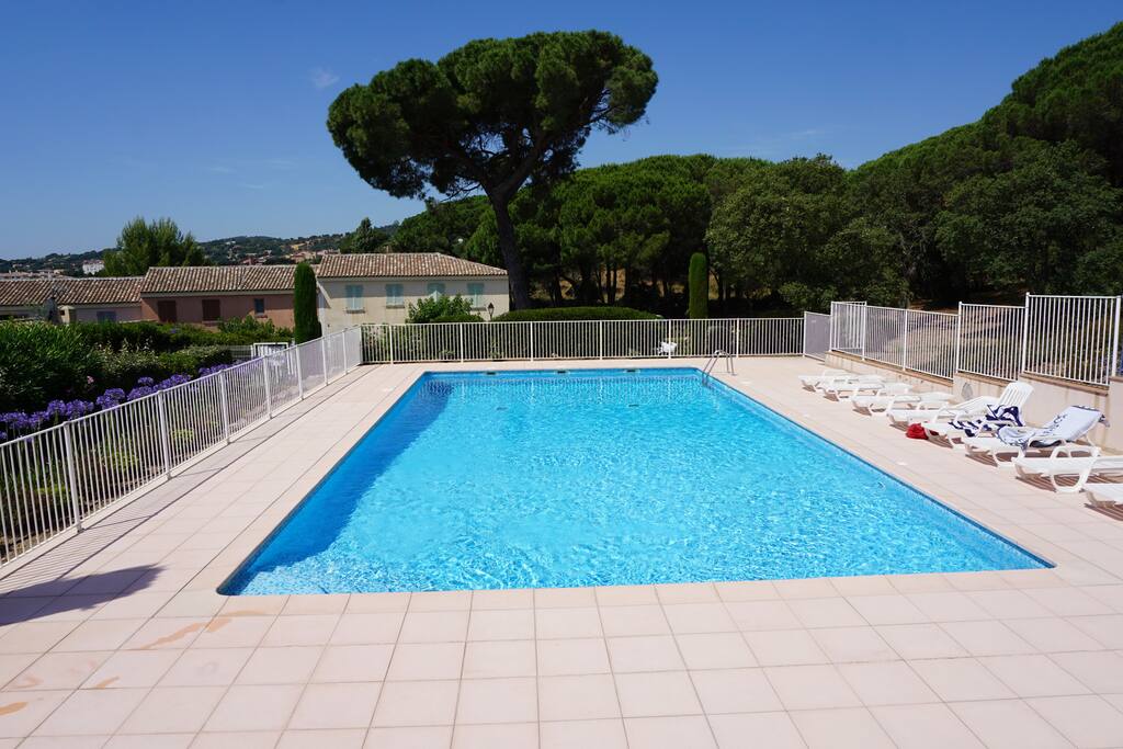 Sun Deck and Pool Area