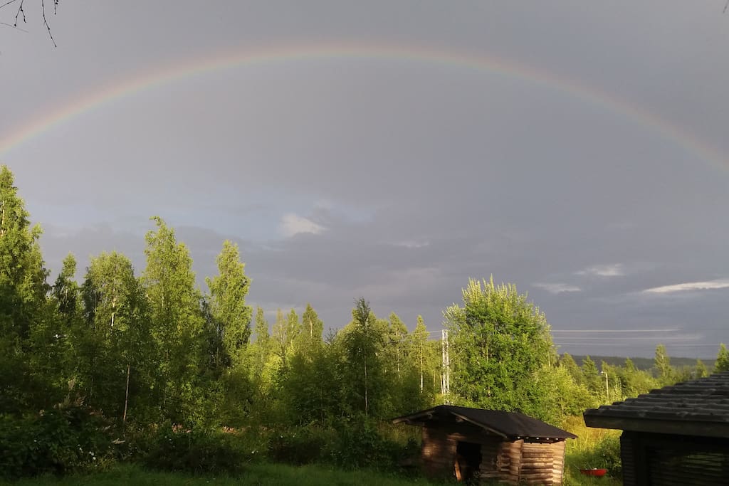 A rainbow over the garden.