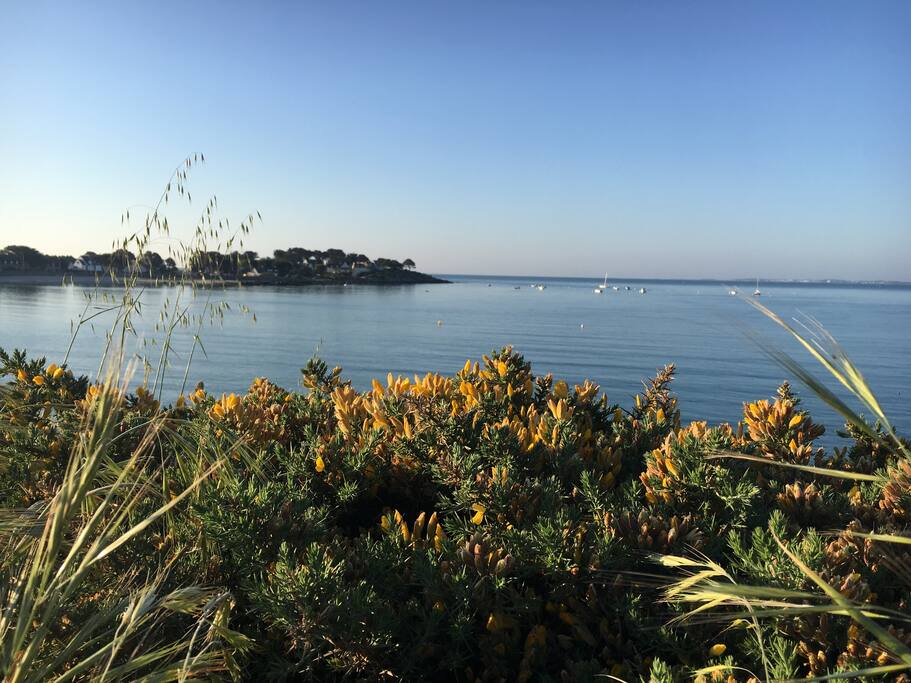 Sentier cotier