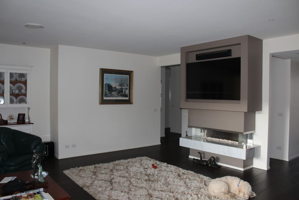 Big screen theatre room with Netfix , UTube etc.