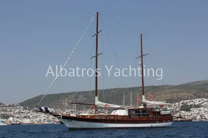 Baris & Aniko managed Airbnb listing 1