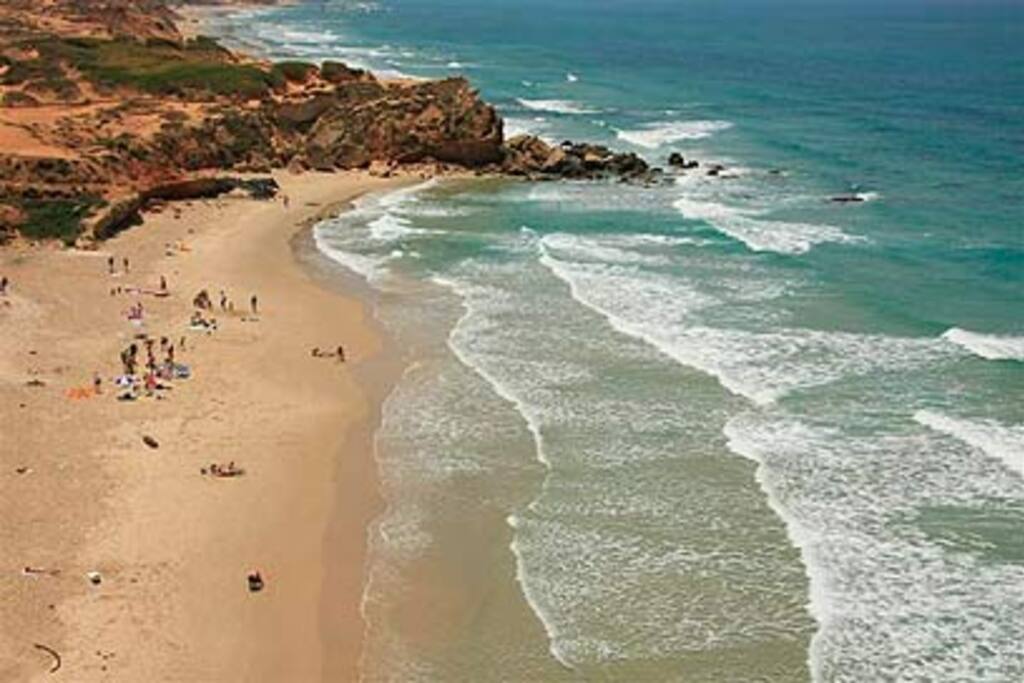Olga Beach