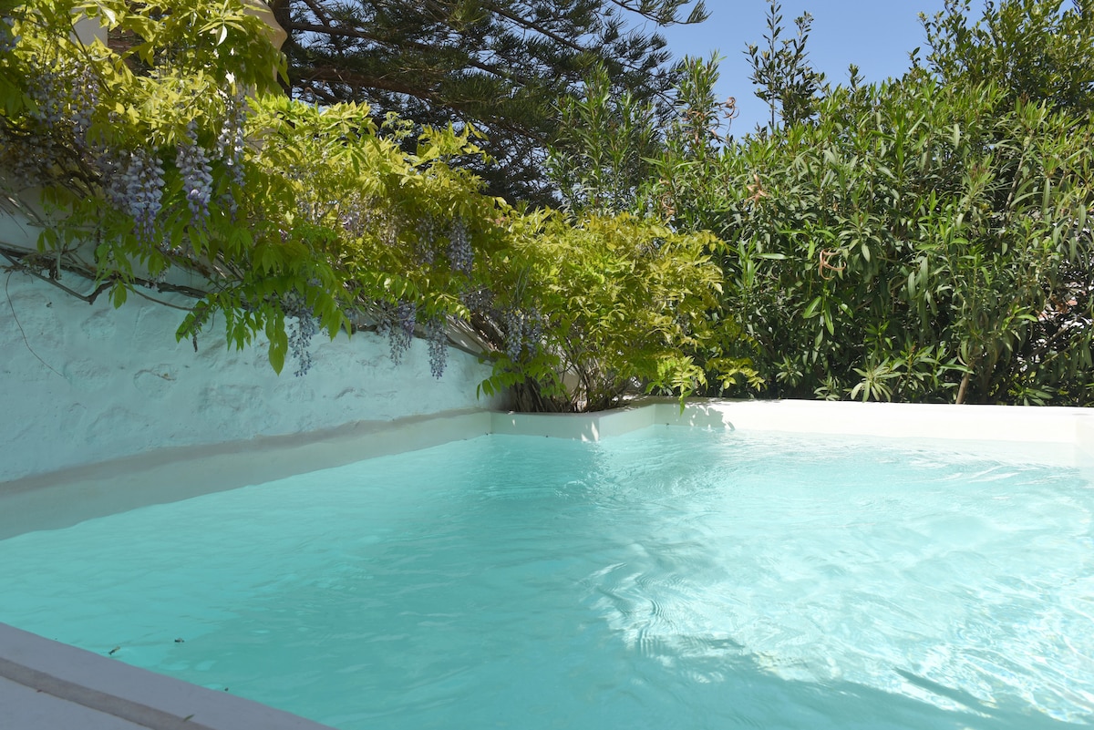 A small swimming pool is surrounded by lush greenery, with bright blue water reflecting sunlight. Overhead, vibrant plants drape gracefully, creating a serene spot for relaxation in a secluded outdoor area.