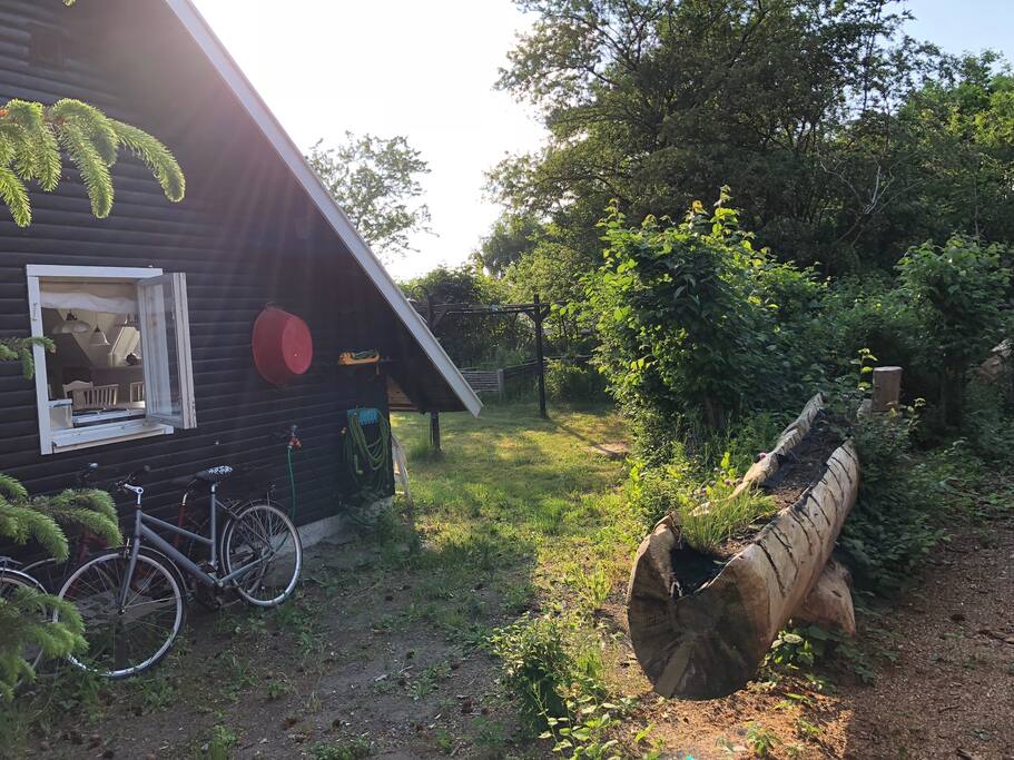 Krydderurter i træstammen og cyklerne klar til strandturen