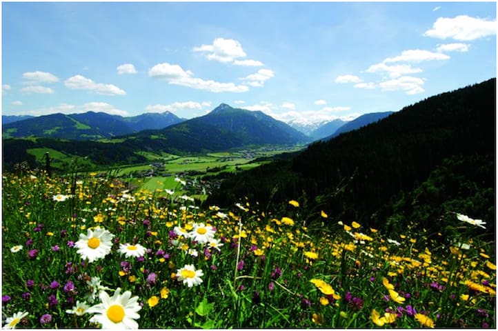 Haus Katris cozy penthouse apartment, Mauterndorf