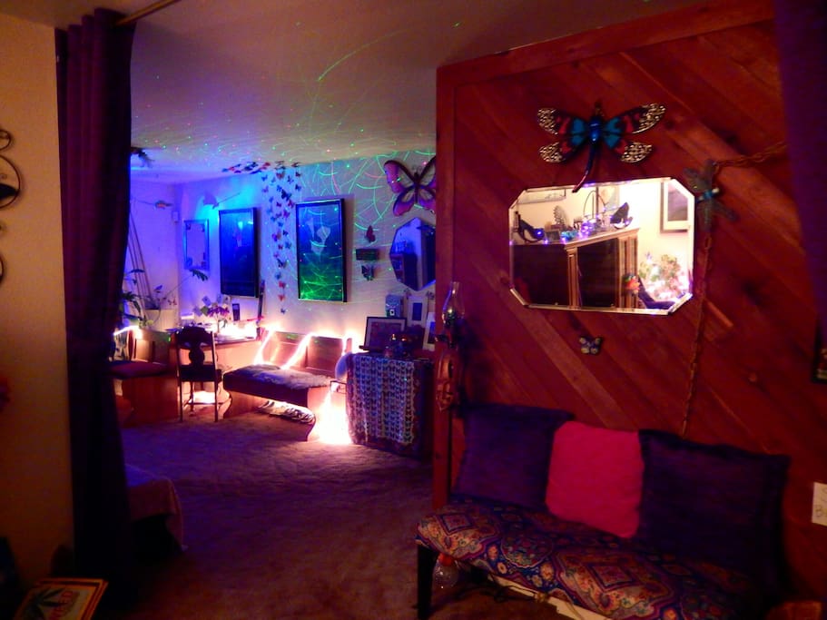 dining room disco lights