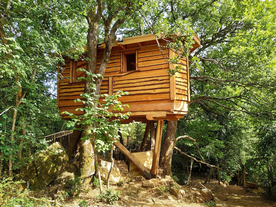 Casas En Los Arboles