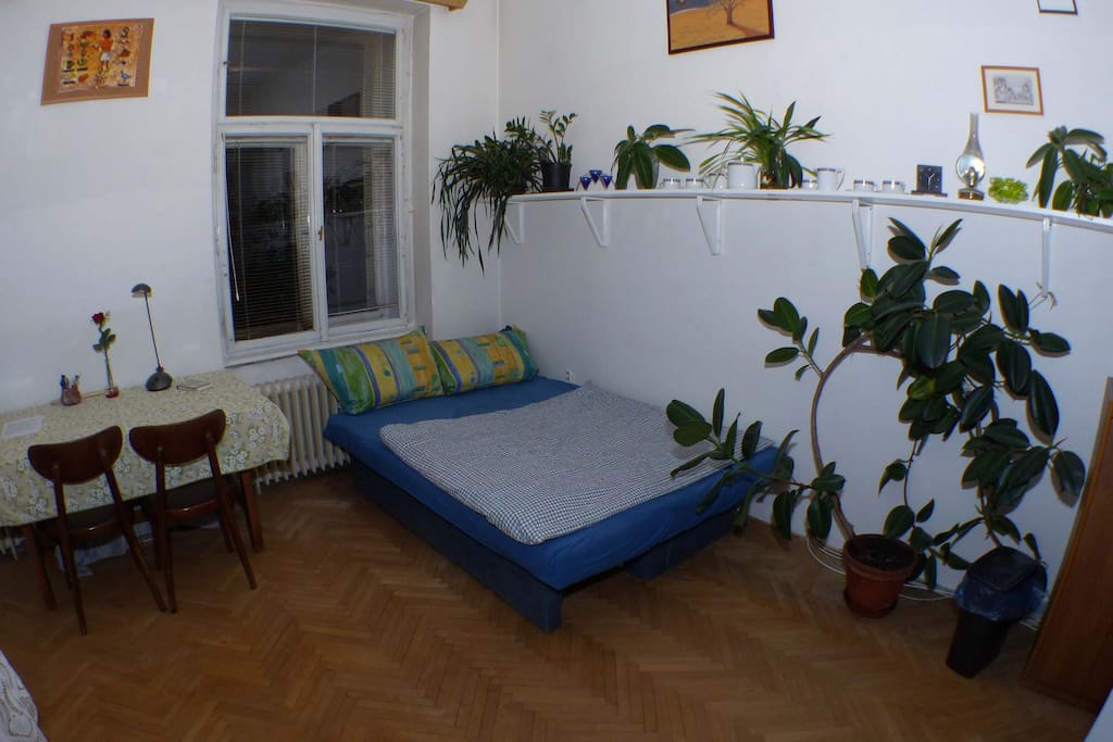 nice room (sofabed)